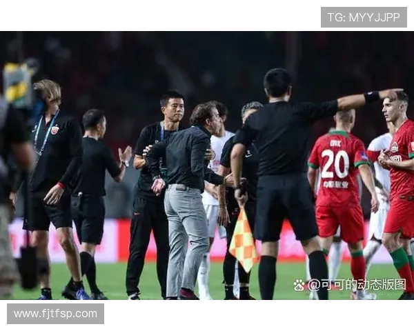 沪媒分析海港亚冠失利原因：伤病困扰下的无奈与努力